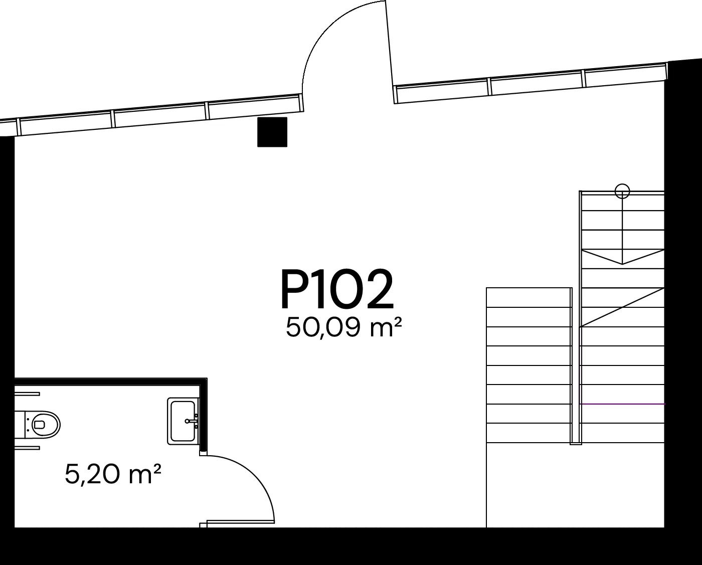 P102